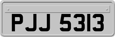 PJJ5313