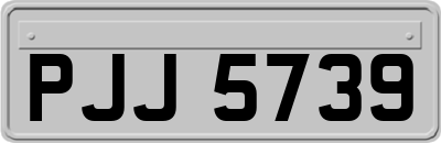 PJJ5739