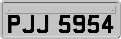 PJJ5954