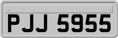 PJJ5955