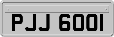 PJJ6001