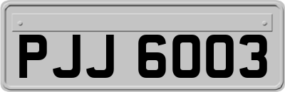 PJJ6003