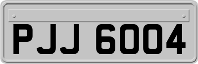 PJJ6004