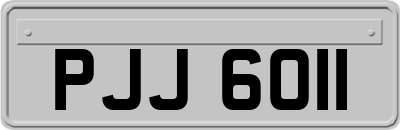 PJJ6011