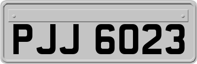 PJJ6023