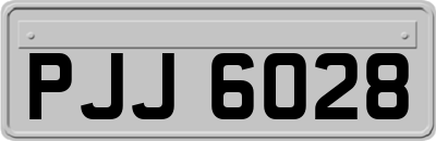 PJJ6028