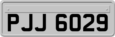 PJJ6029