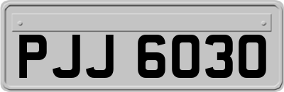 PJJ6030