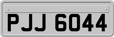 PJJ6044
