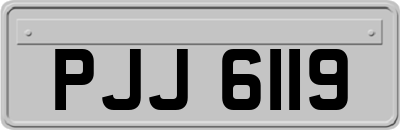 PJJ6119