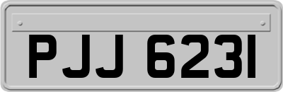 PJJ6231