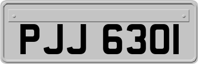 PJJ6301