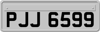 PJJ6599