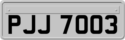 PJJ7003