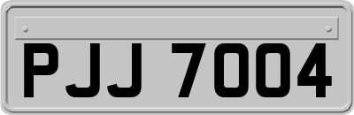 PJJ7004