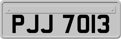 PJJ7013