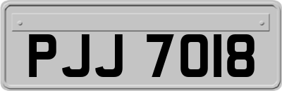 PJJ7018