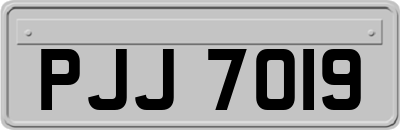 PJJ7019