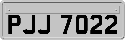 PJJ7022