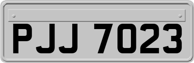 PJJ7023