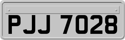 PJJ7028