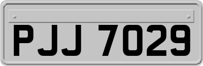 PJJ7029