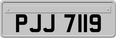 PJJ7119