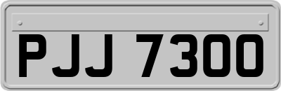 PJJ7300