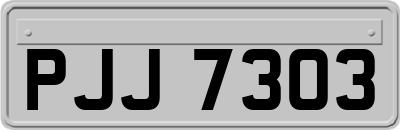 PJJ7303