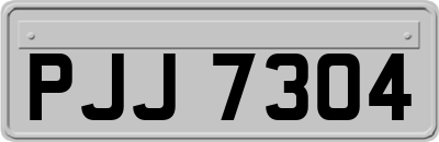 PJJ7304
