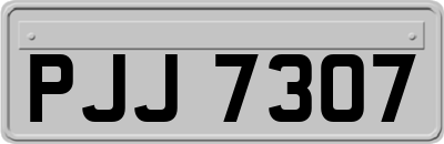 PJJ7307