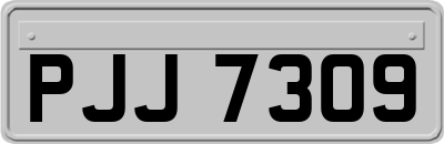 PJJ7309