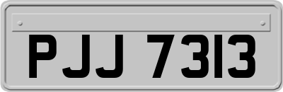 PJJ7313