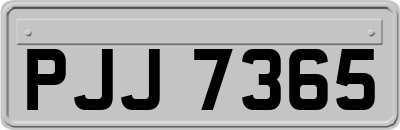 PJJ7365