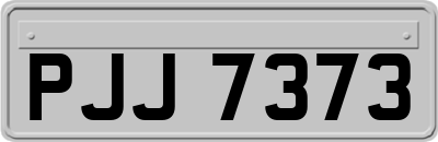 PJJ7373