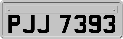PJJ7393