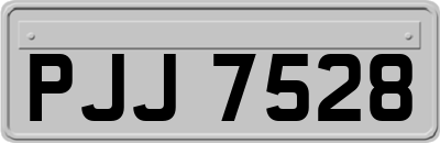 PJJ7528