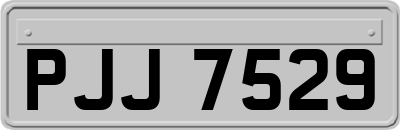 PJJ7529