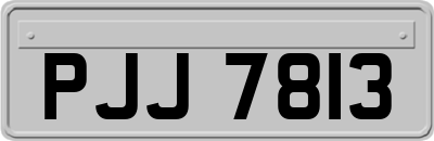 PJJ7813