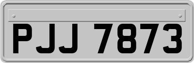 PJJ7873