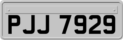 PJJ7929