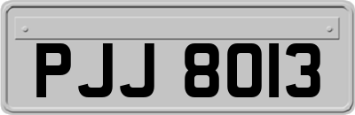 PJJ8013