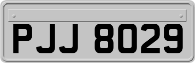 PJJ8029