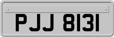 PJJ8131