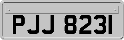 PJJ8231