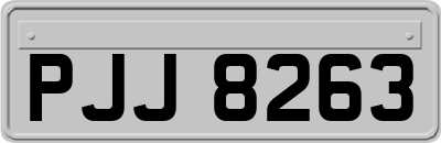 PJJ8263