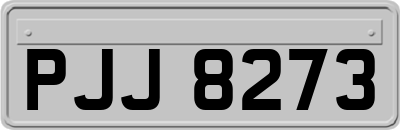 PJJ8273