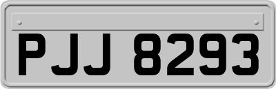 PJJ8293