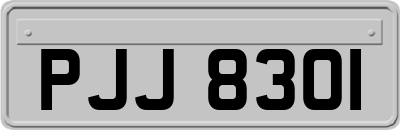 PJJ8301
