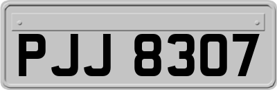 PJJ8307